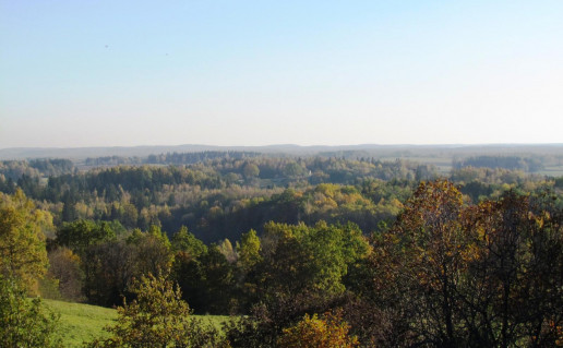 8_VAIZDAI NUO ZASUGALOS.jpg